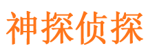 民丰捉小三公司